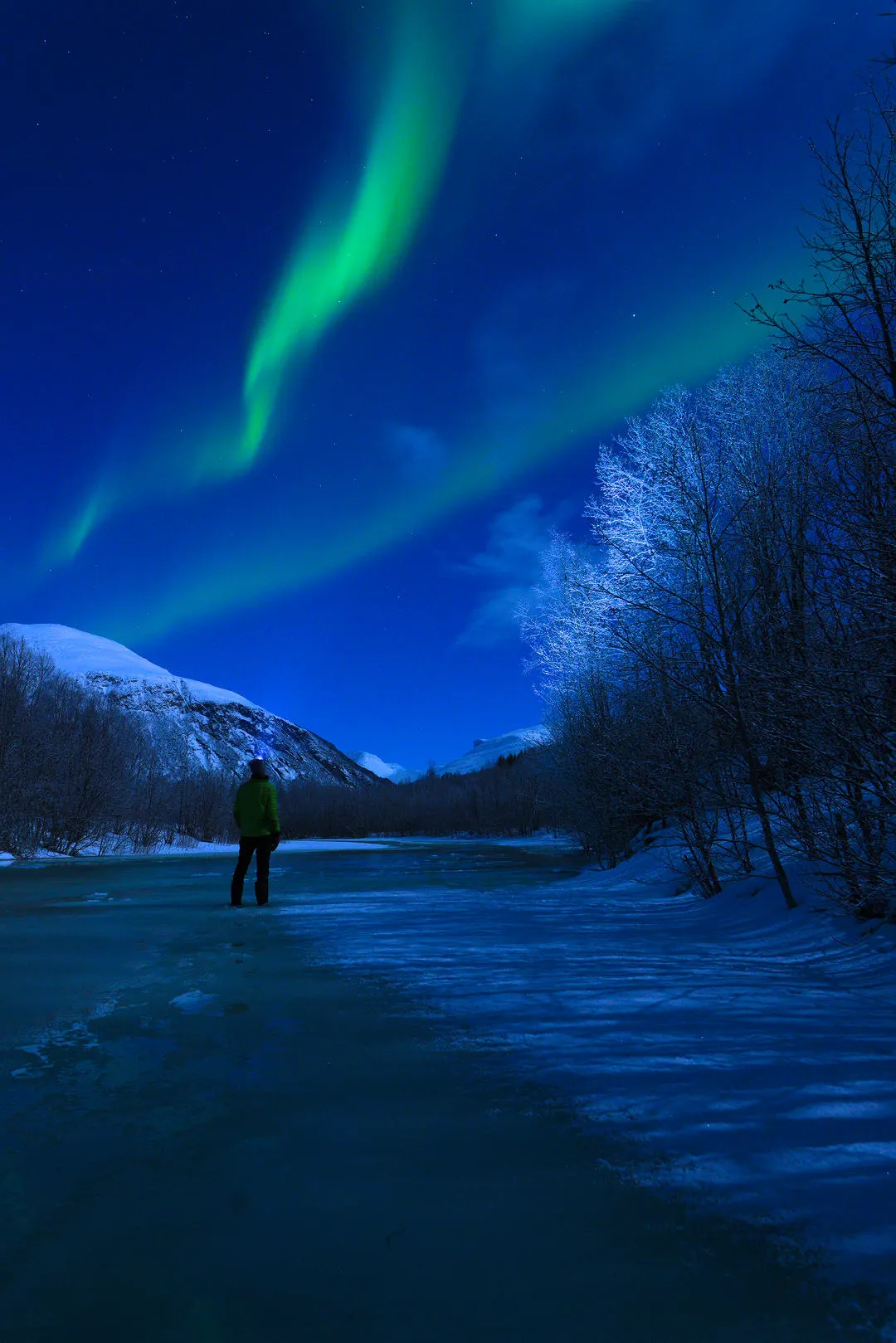 A guest walking a snowy track under a green aurora